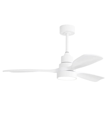 Modern 48-Inch Ceiling Fan with LED DC 6-Speed High Wind Speed with Remote Control