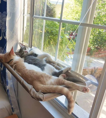 Cat Window Peh Hammock Window Mounted Cat Bed Cooling Breathable Canvas Suction Cups Sunbath Hammock Bed for Cats Dogs